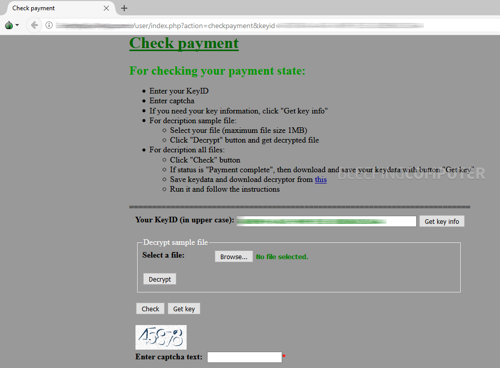 Data Keeper RaaS payment page