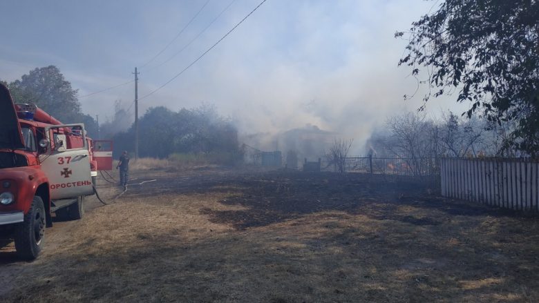 В Житомирской области загорелась сухая трава: пострадал человек, уничтожены два жилых дома