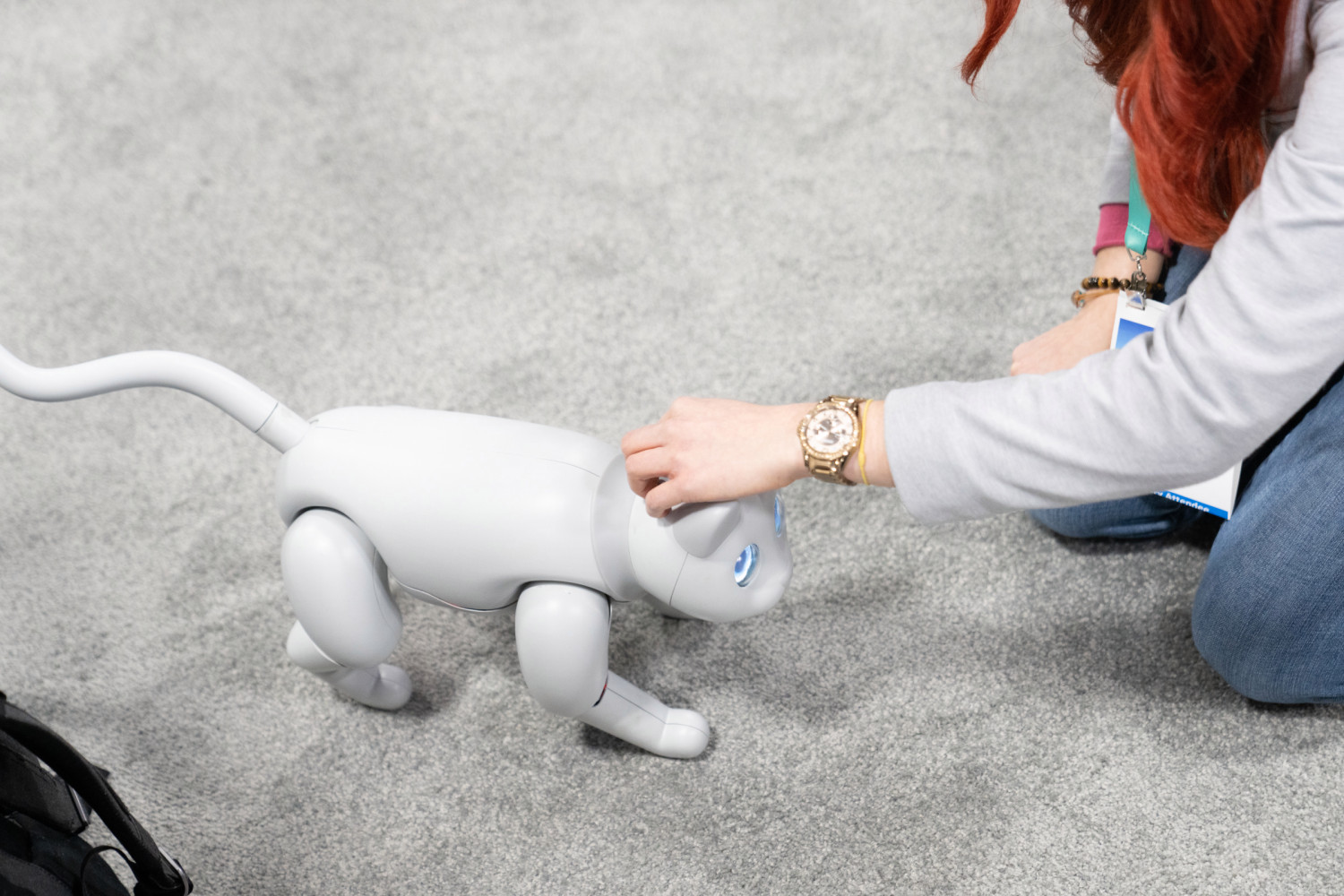 Покажите игрушки надо. Робокот игрушка. Робот котик. Робот питомец. Роботизированный кот.