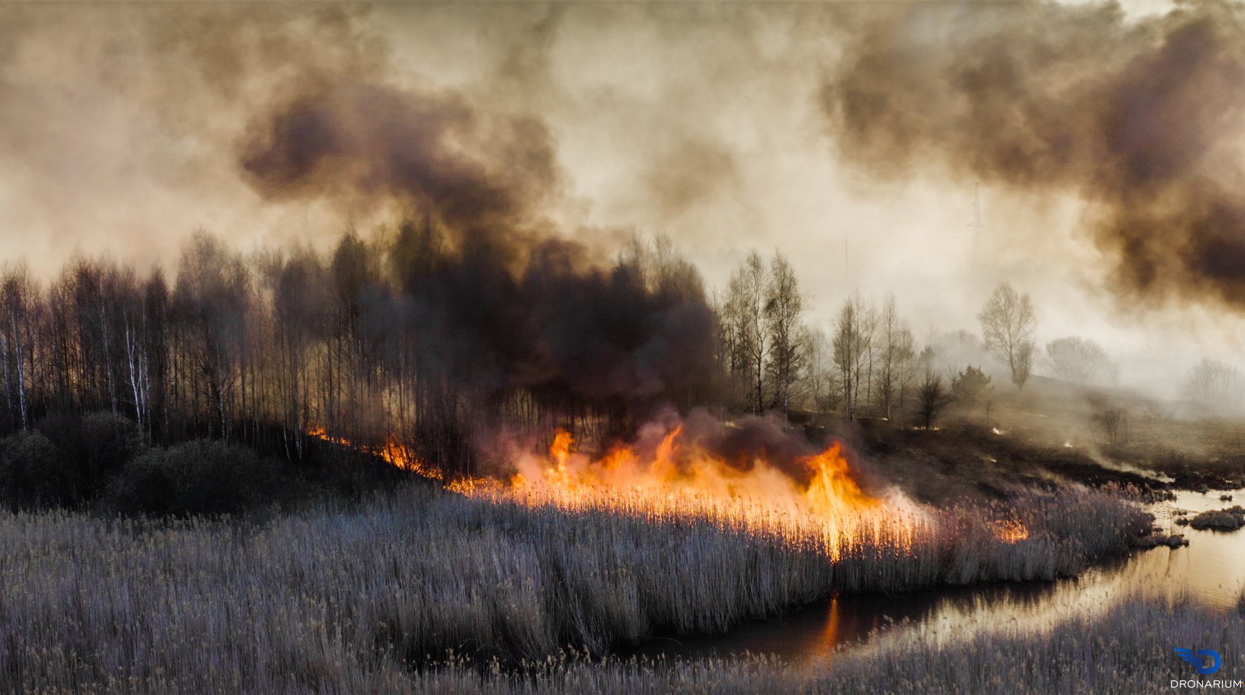 Пожар радиация. Лесной пожар ЧАЭС. Рыжий лес Чернобыль. Лесной пожар дым. Пожар в рыжем лесу.