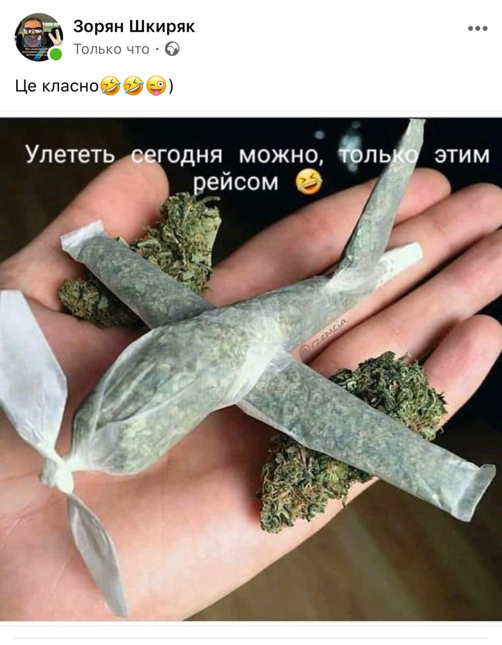 Самолет марихуаной цвет листьев марихуаны