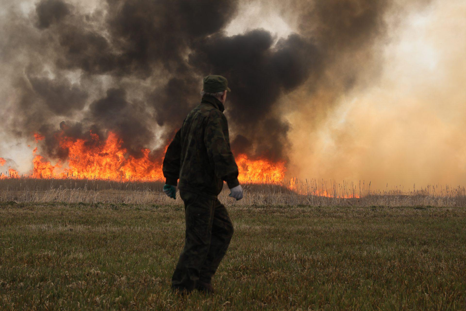 Бебжаньский национальный парк_пожар