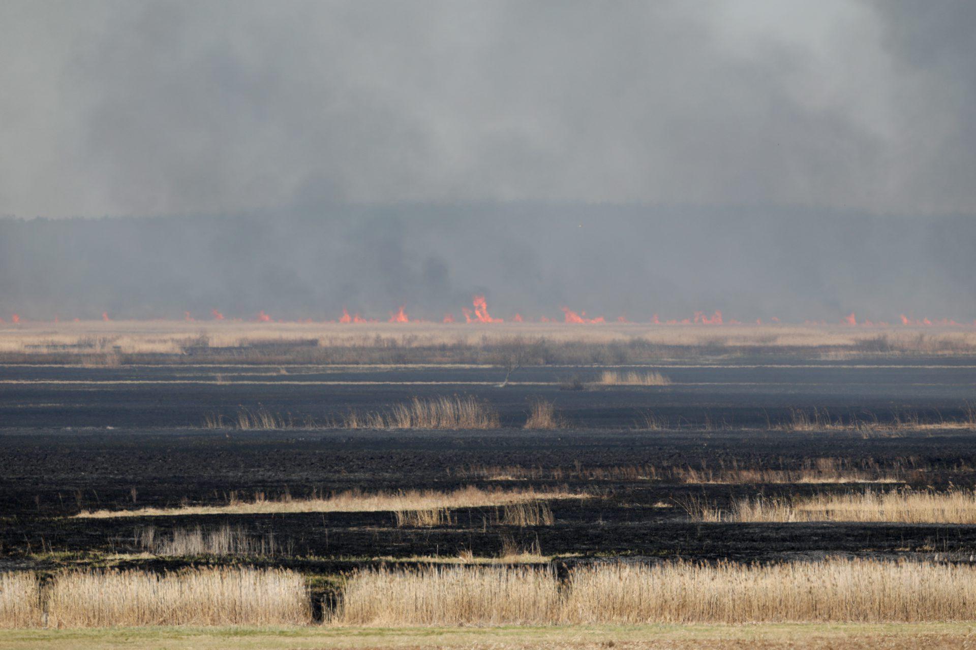Бебжаньский национальный парк_пожар