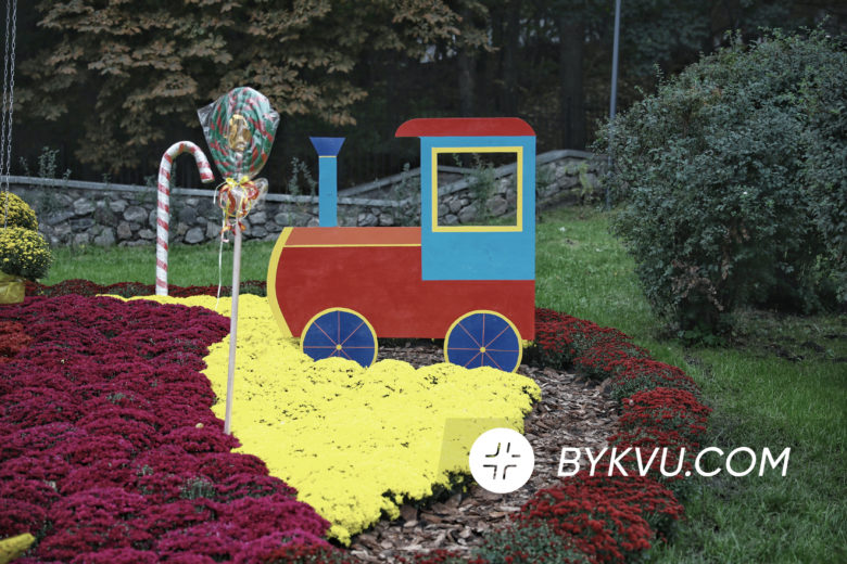 Виставка хризантем у Києві