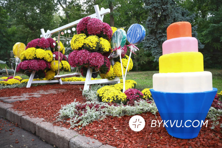 Виставка хризантем у Києві