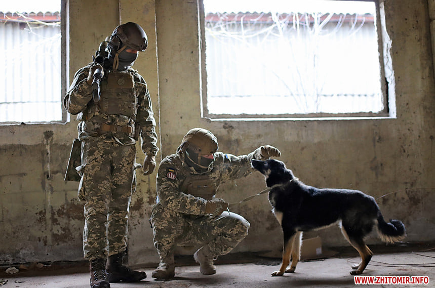 В Житомире десантники приняли участие в фотосессии с бездомными животными. ФОТО
