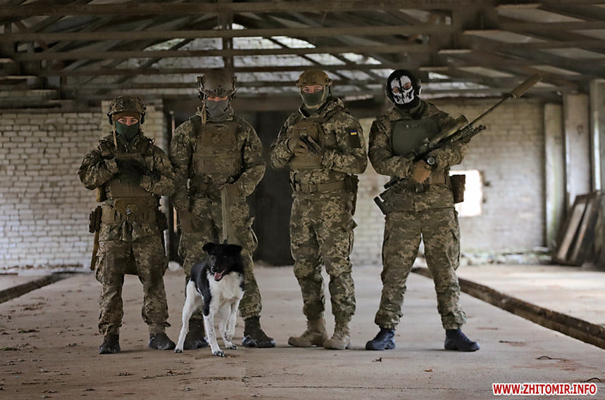 В Житомире десантники приняли участие в фотосессии с бездомными животными. ФОТО