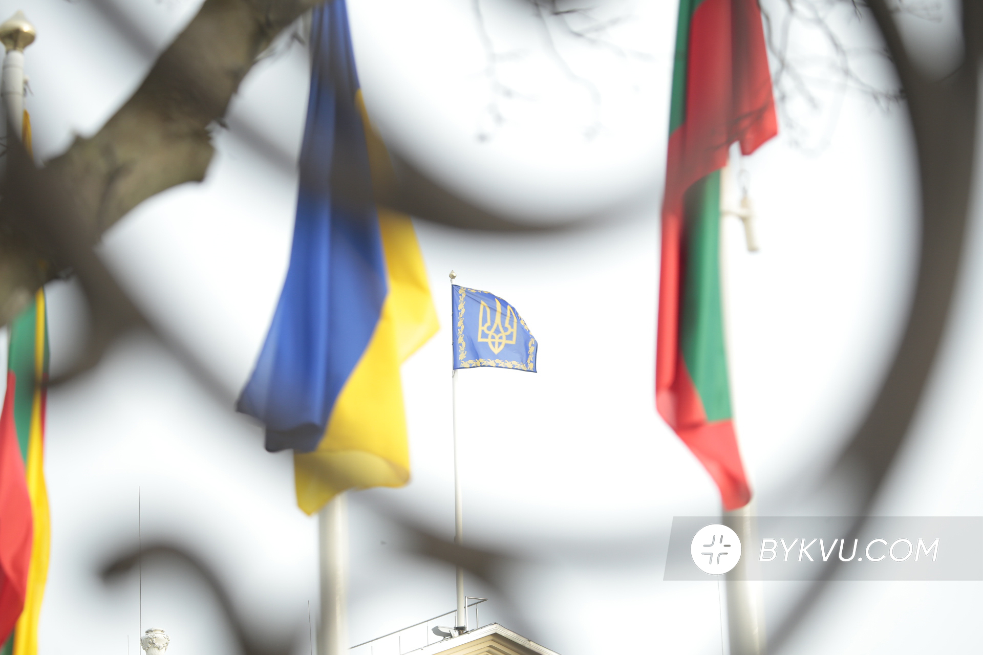 Прапор Литви та України