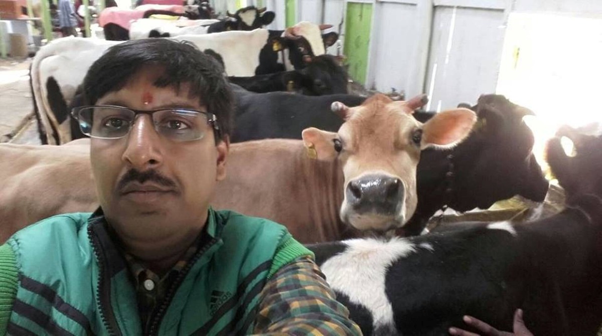 selfie with cow