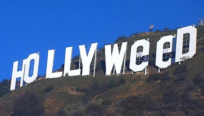 hollyweed pic685 685x390 57138