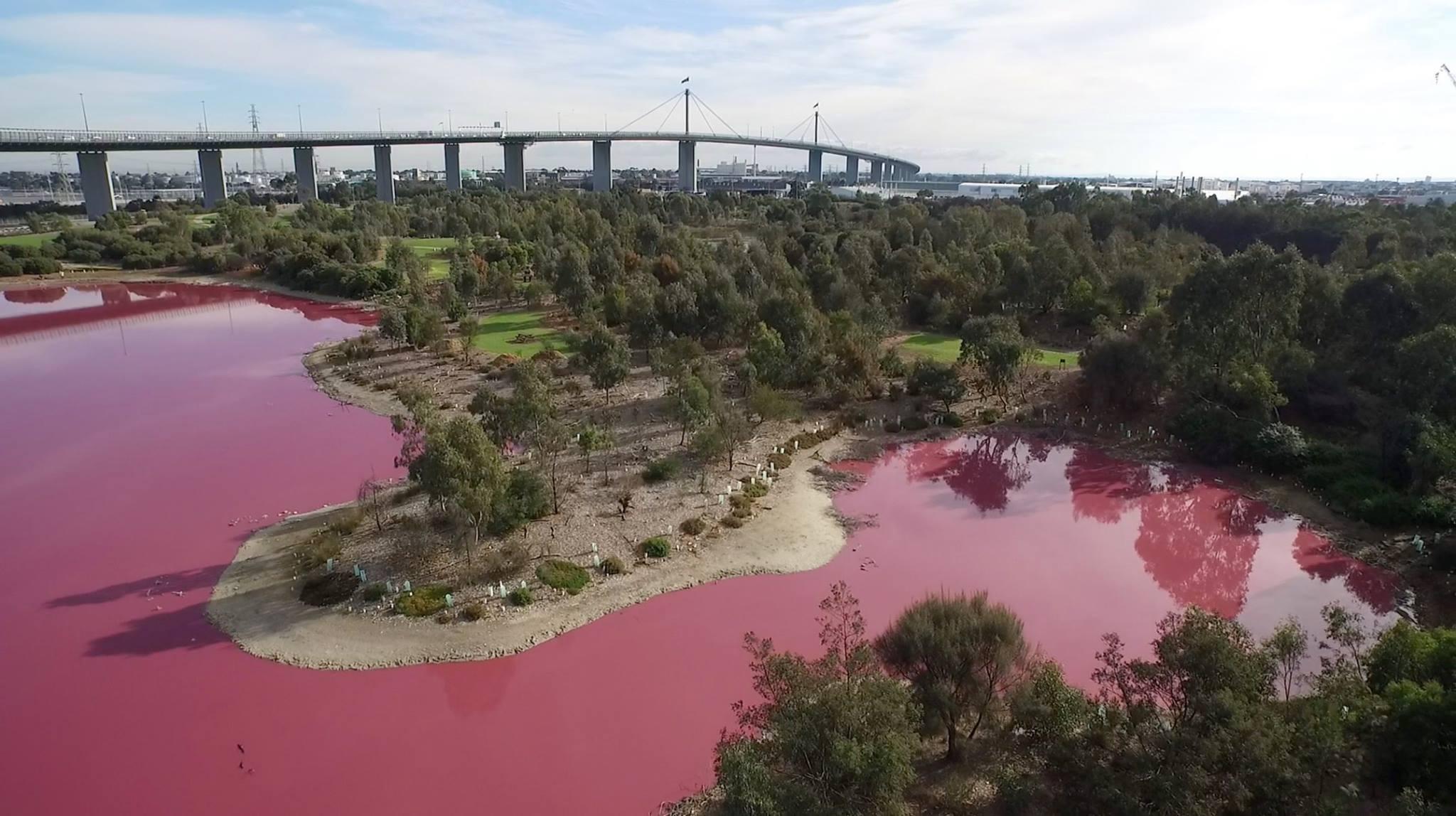 Розовое озеро Квайрадинг Австралия