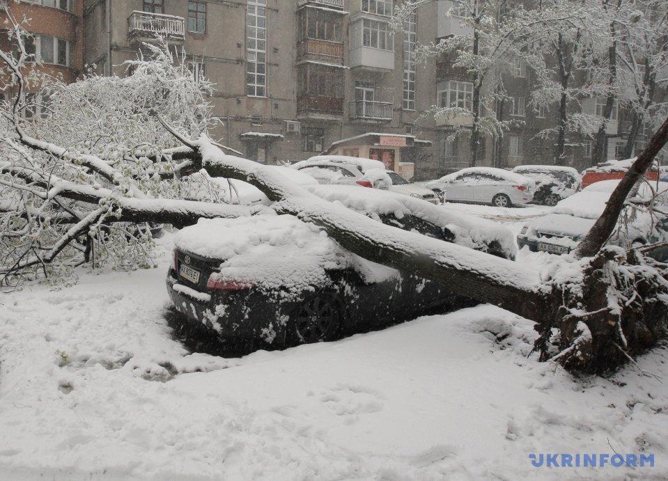 В Харькове выпал снег