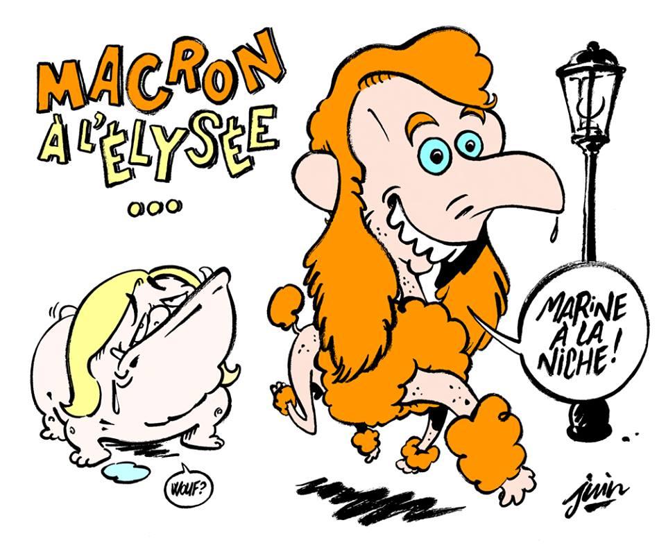 Карикатура на выборы во Франции