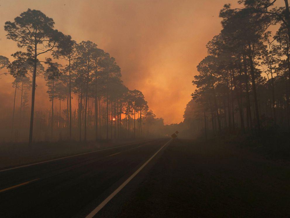 На юге США начался масштабный лесной пожар