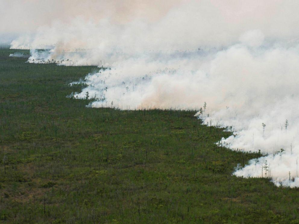 На юге США начался масштабный лесной пожар