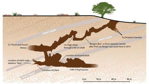 Пещера, в которой были обнаружены останки Homo naledi