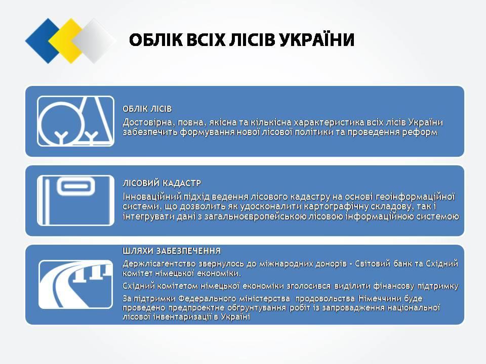  Cтратегия реформирования лесного хозяйства Украины_10
