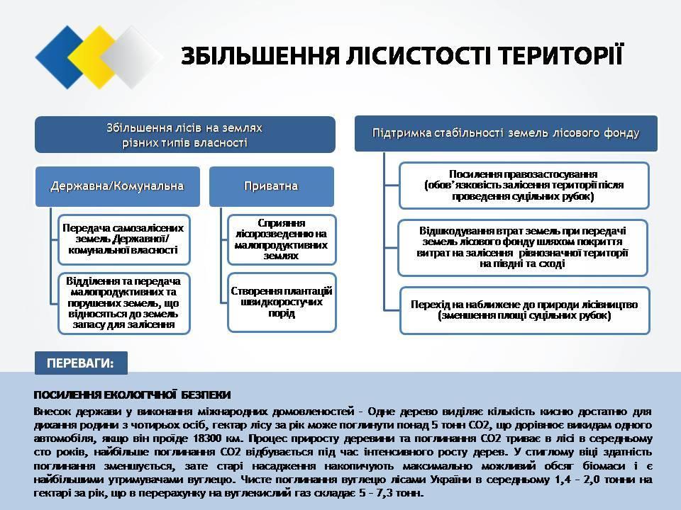  Cтратегия реформирования лесного хозяйства Украины_11