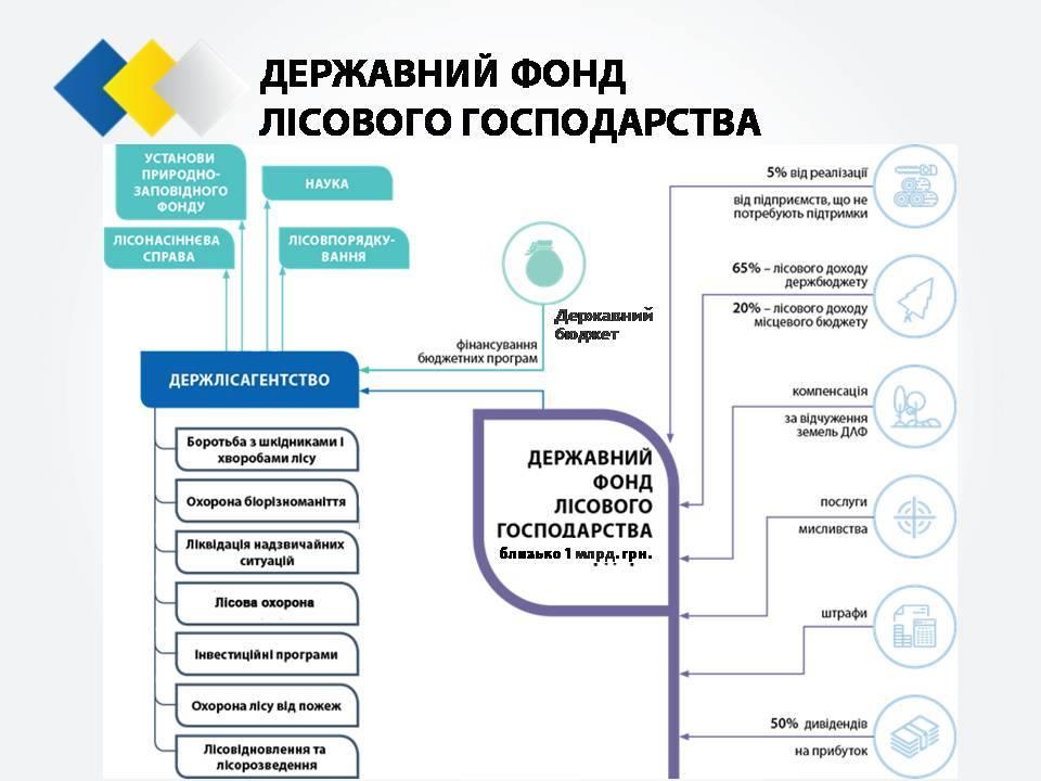  Cтратегия реформирования лесного хозяйства Украины_14