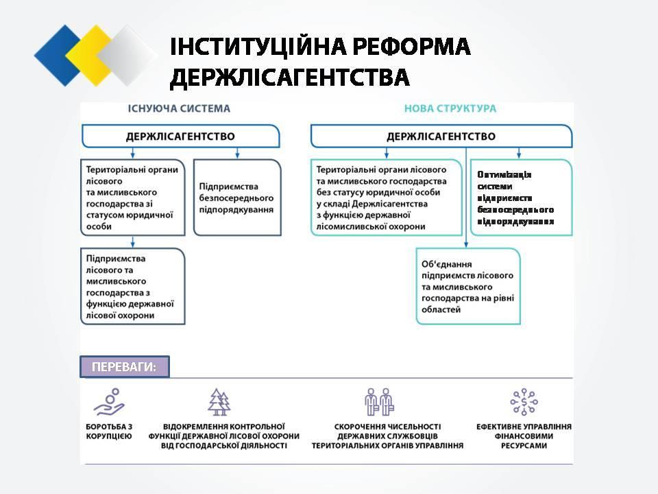  Cтратегия реформирования лесного хозяйства Украины_15