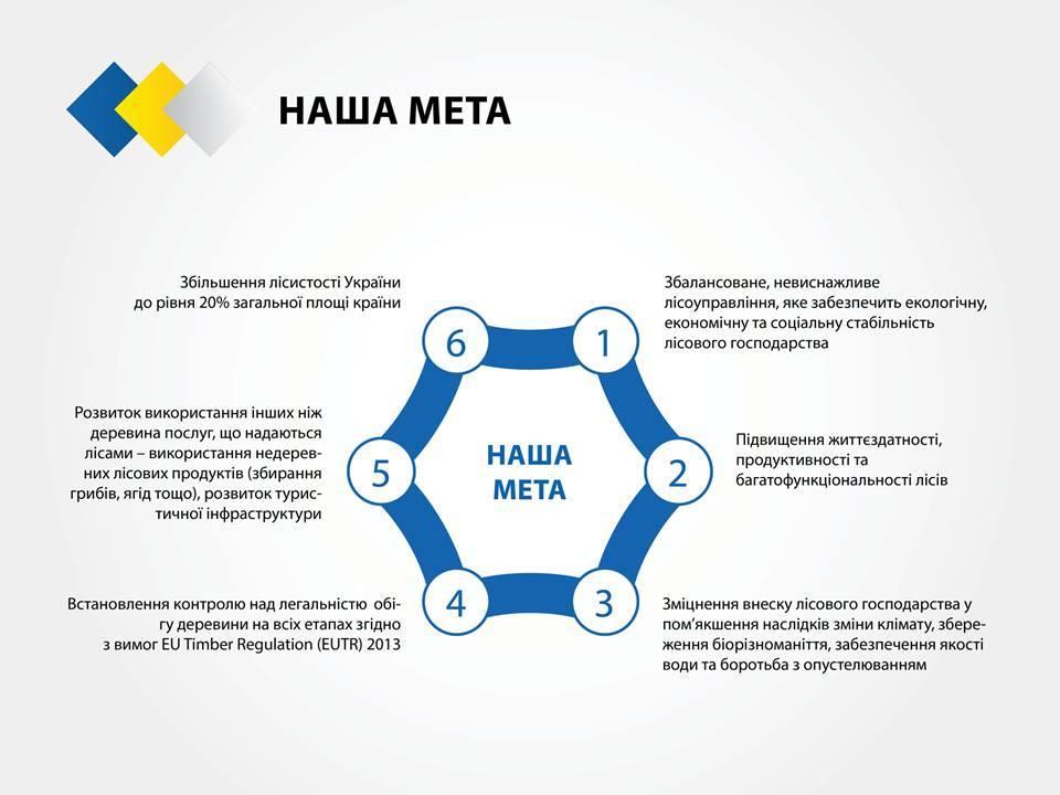  Cтратегия реформирования лесного хозяйства Украины_16