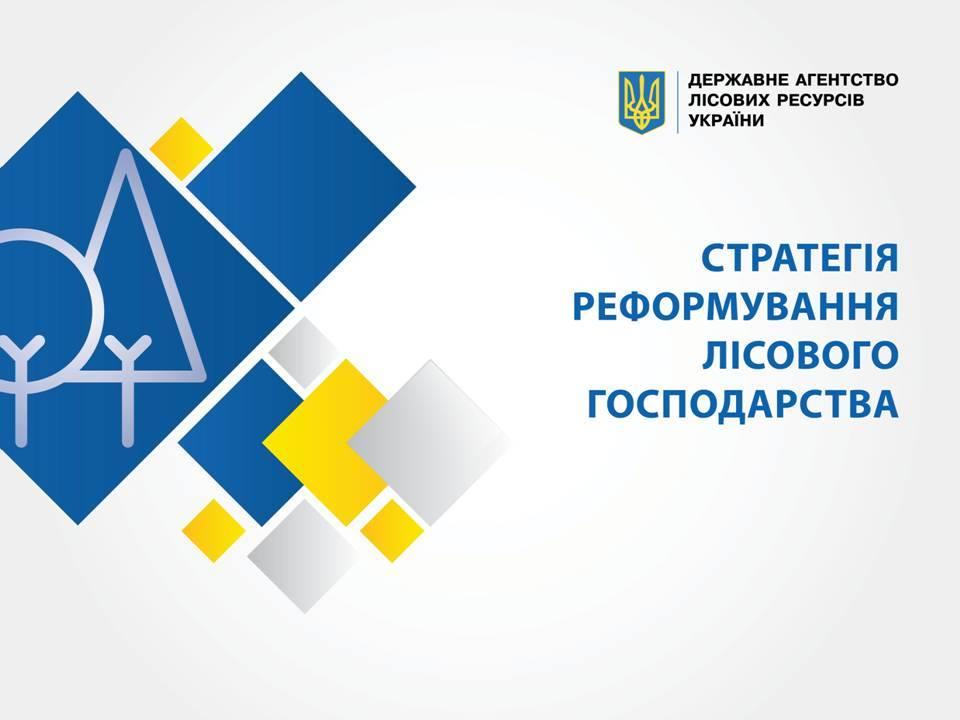  Cтратегия реформирования лесного хозяйства Украины_1