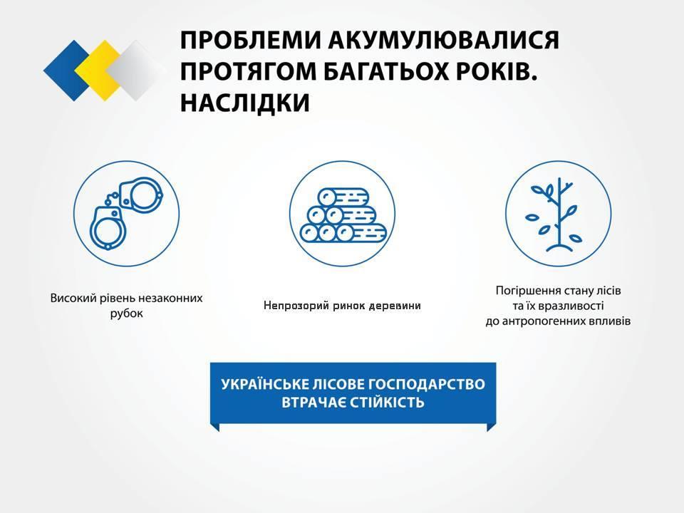  Cтратегия реформирования лесного хозяйства Украины_3