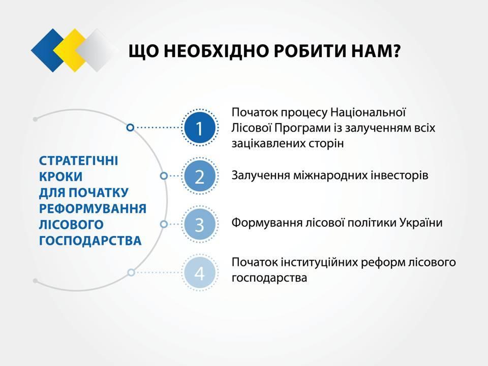  Cтратегия реформирования лесного хозяйства Украины_5