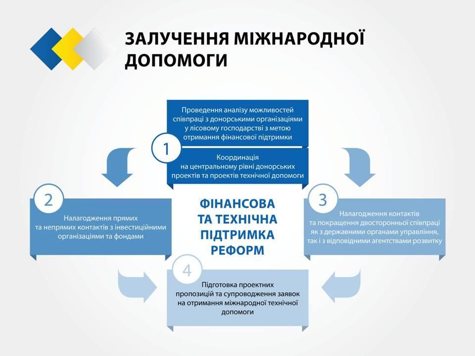  Cтратегия реформирования лесного хозяйства Украины_7