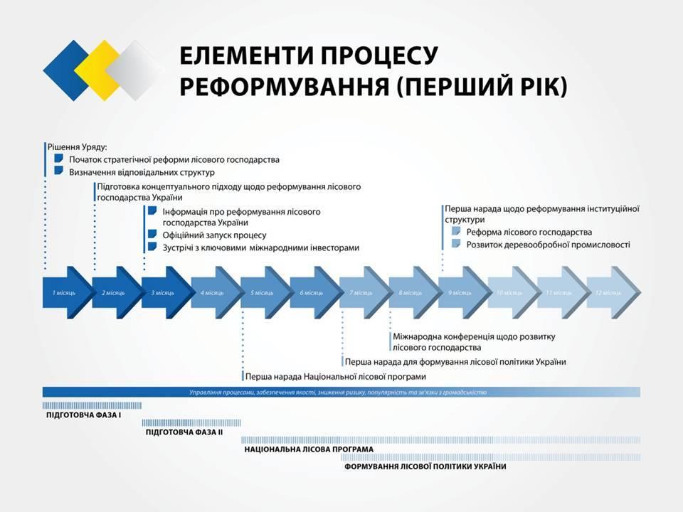  Cтратегия реформирования лесного хозяйства Украины_8