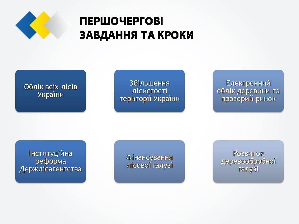  Cтратегия реформирования лесного хозяйства Украины_9