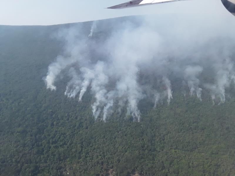 Тушение лесных пожаров в Черногории