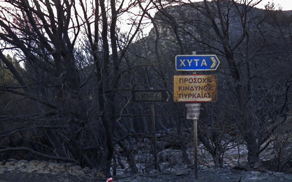 На греческом острове Китира начался лесной пожар