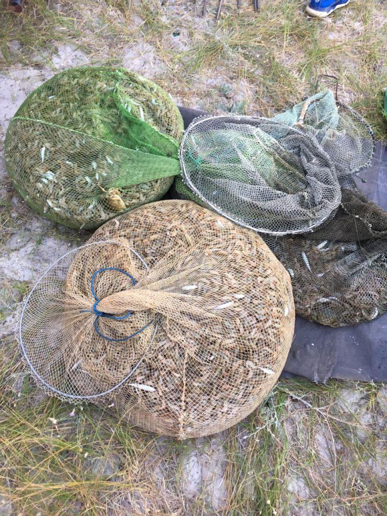 Пограничники поймали браконьеров с уловом крабов и креветок