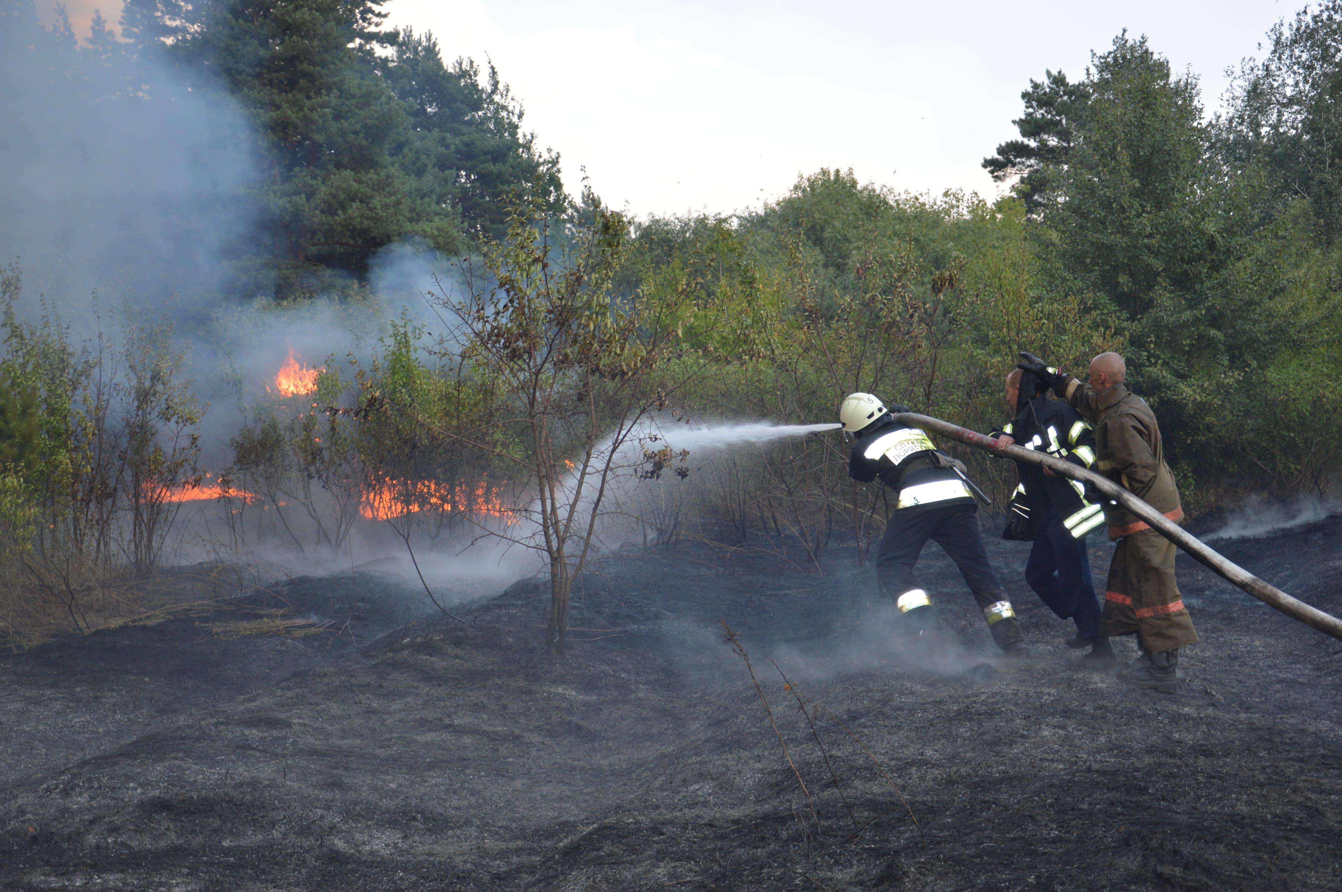 Тушение лесного пожара в Днепропетровской области