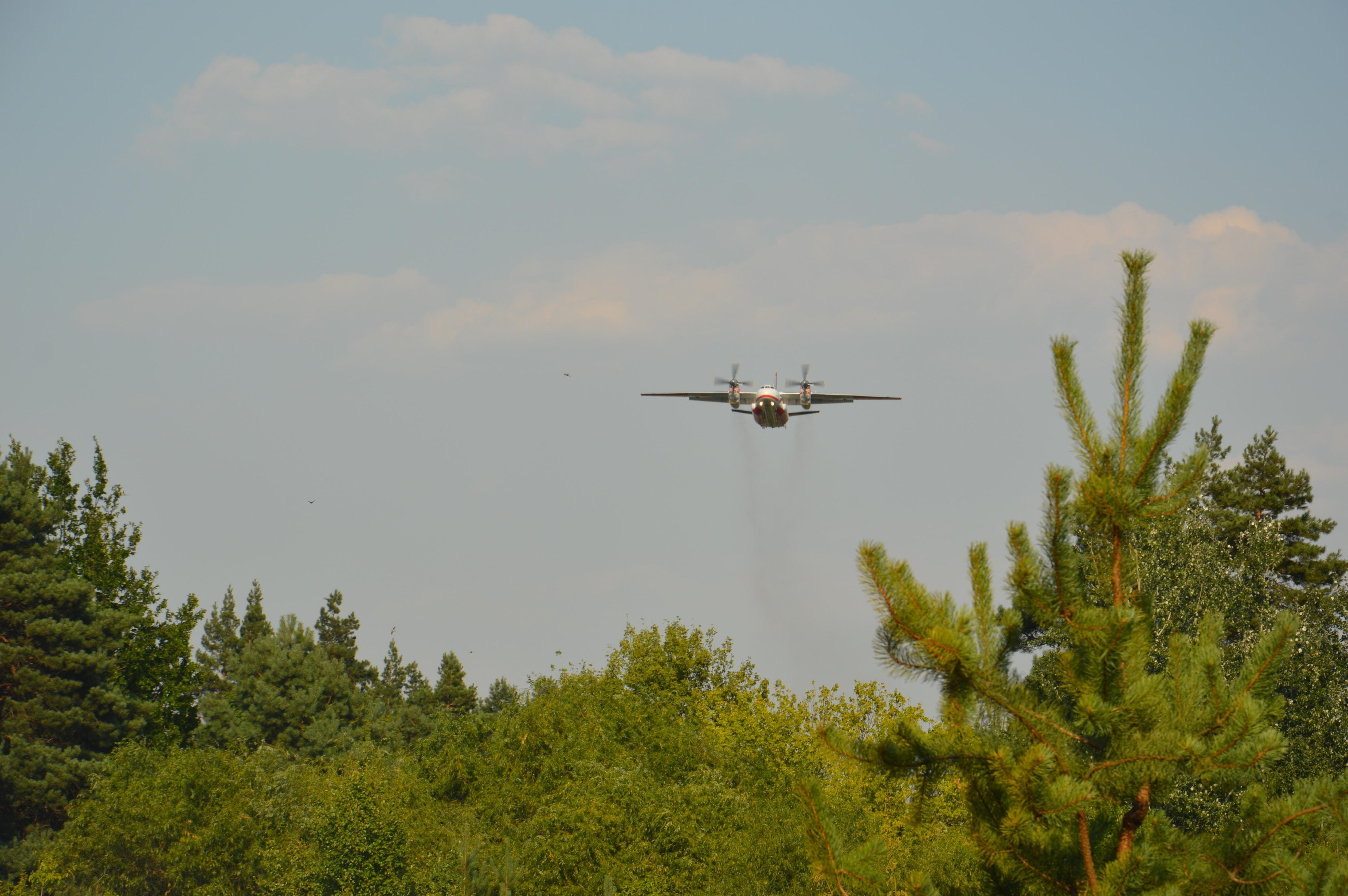 Тушение лесного пожара в Днепропетровской области