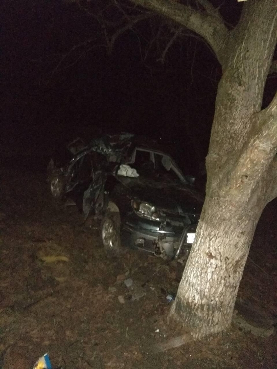 В Закарпатской области авто врезалось в дерево