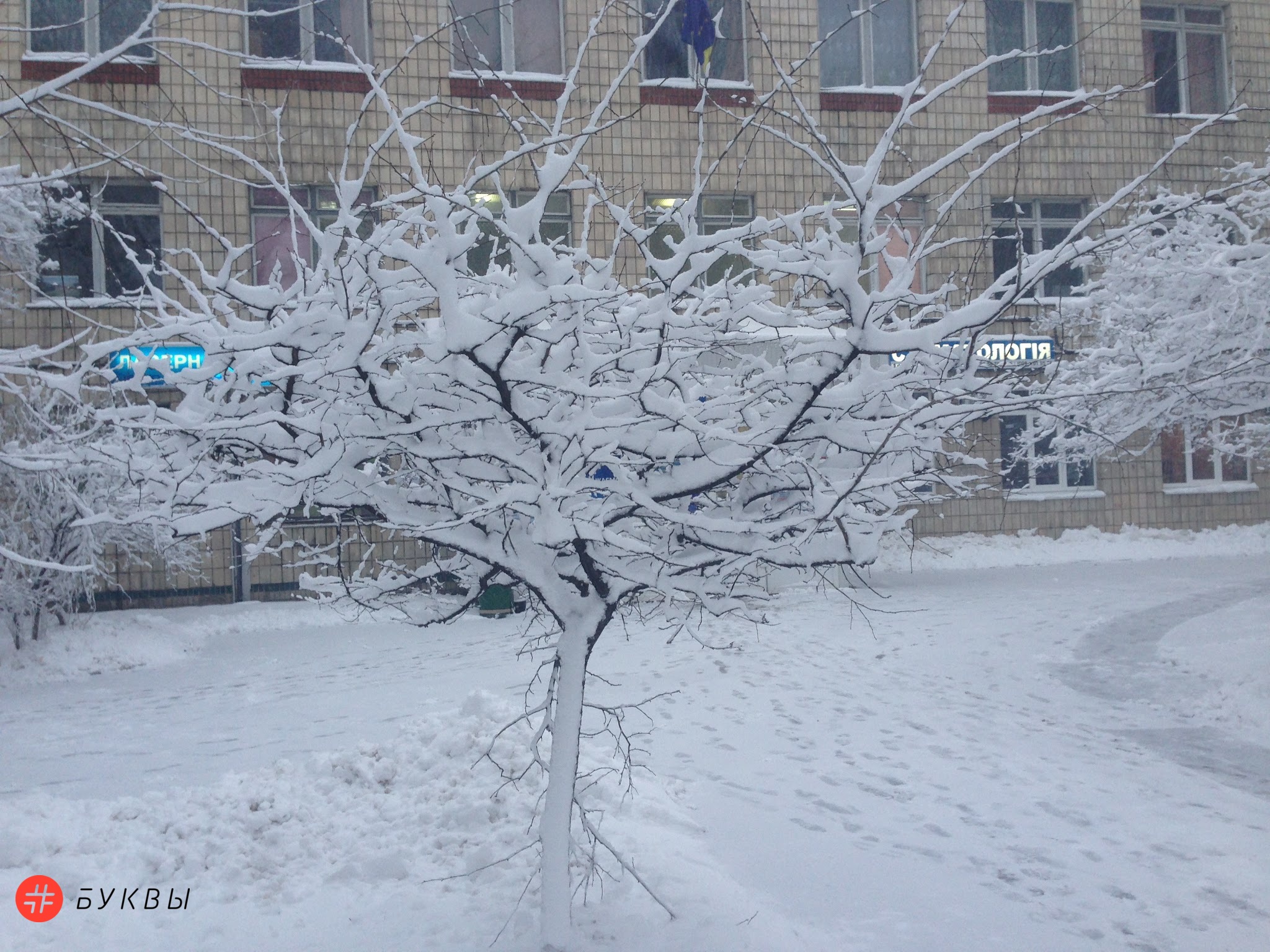 Снегопад в Киеве_03