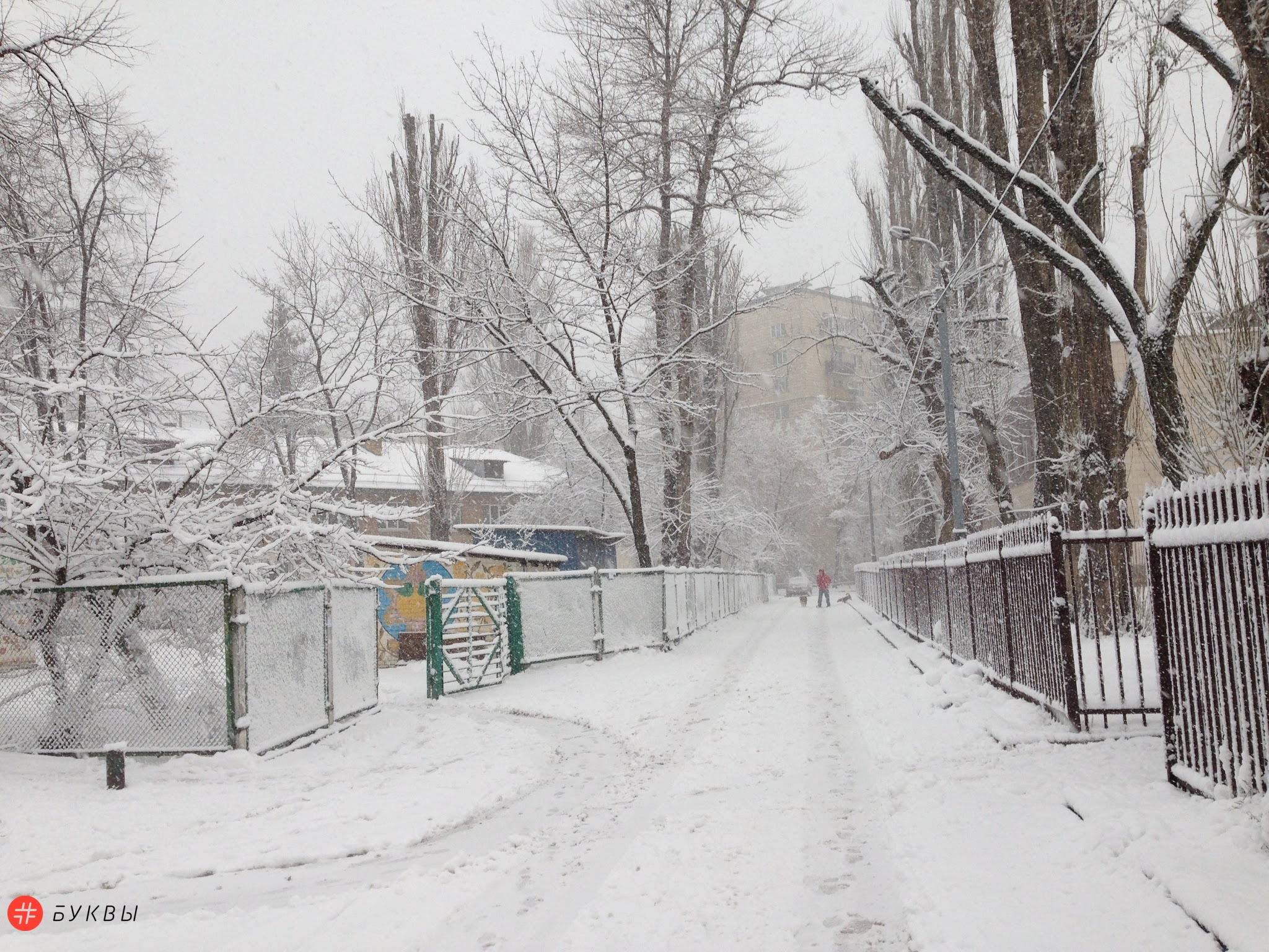 Снегопад в Киеве_04