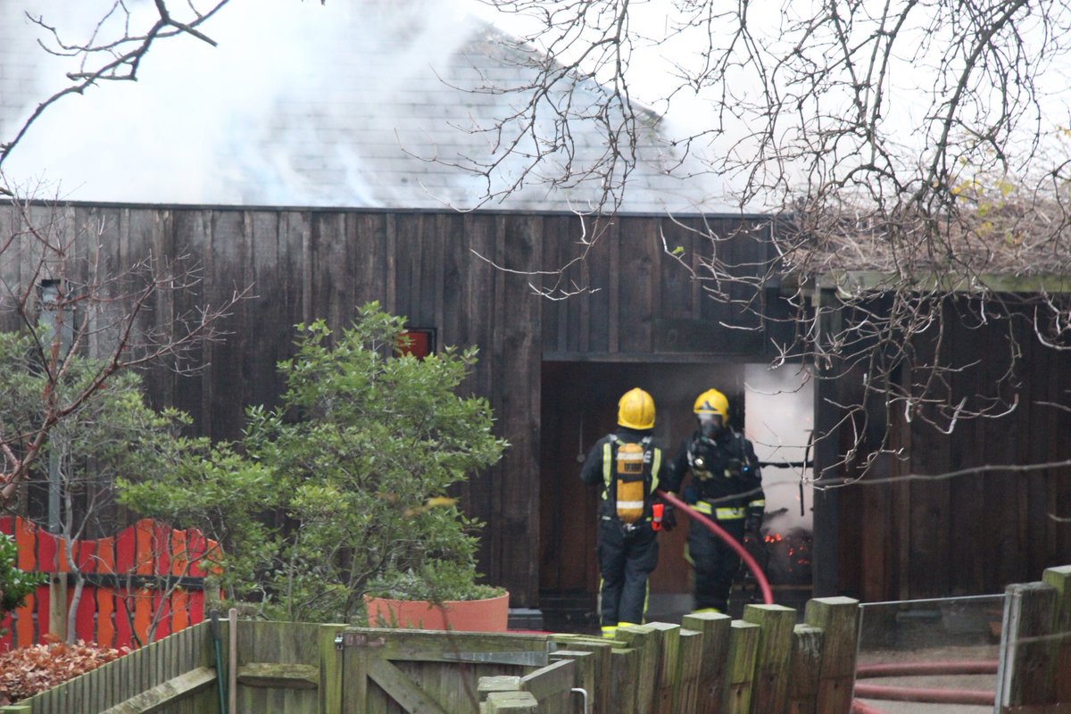 Пожар в зоопарке Лондона