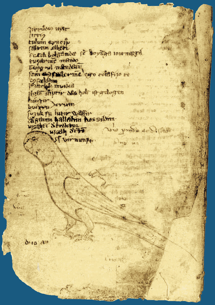 Codex Cumanicus 58