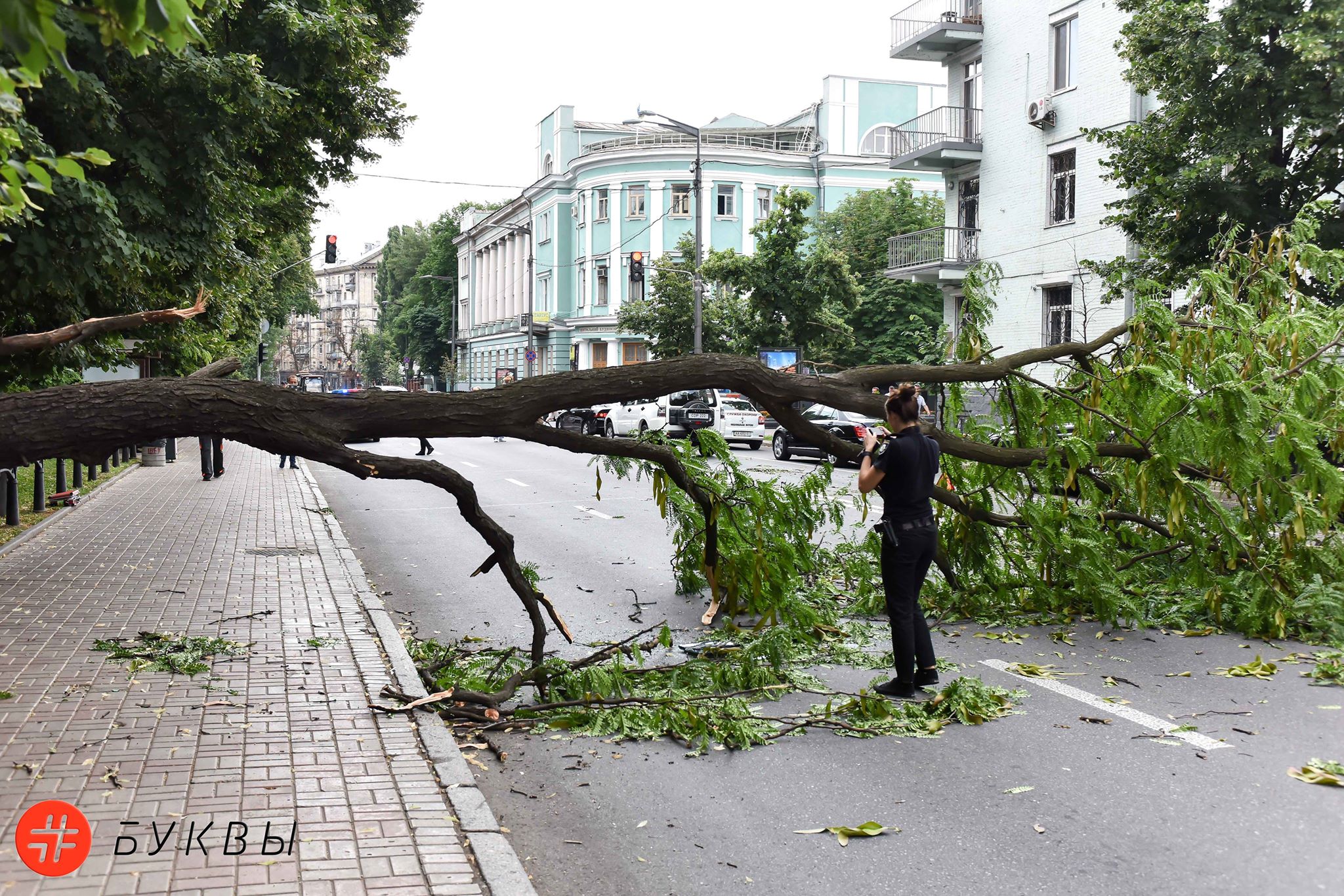 В центре Киева упало дерево.