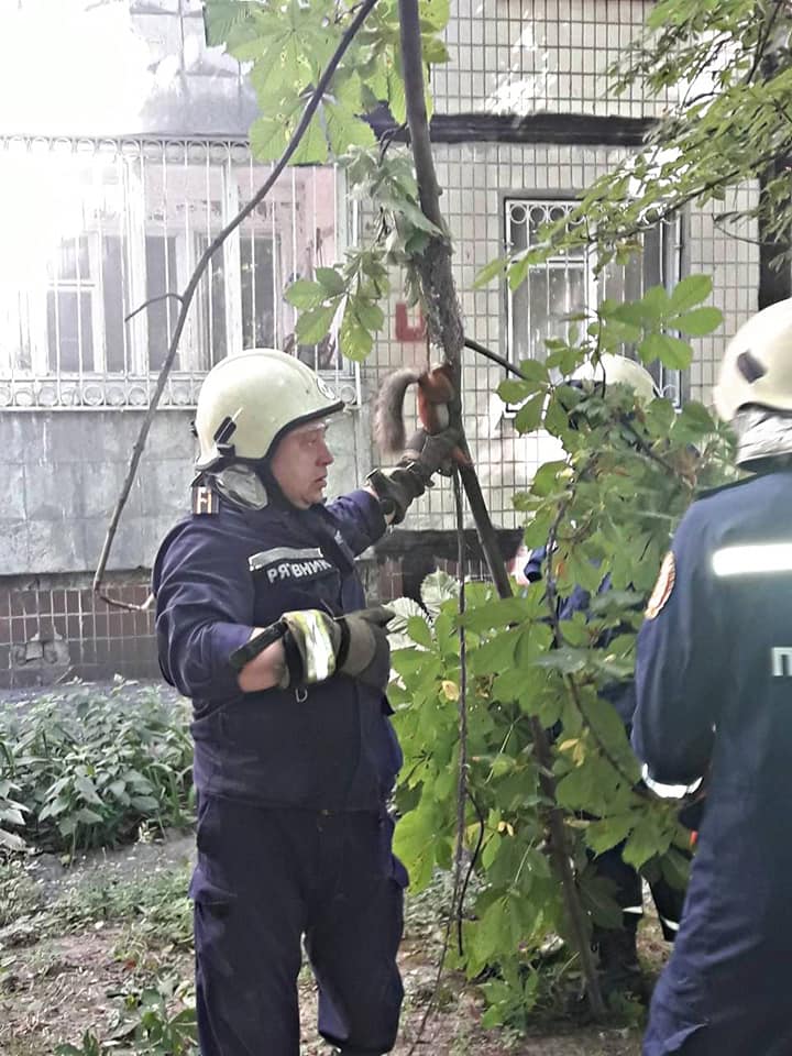 Работники ГСЧС спасли белку в Днепре_05