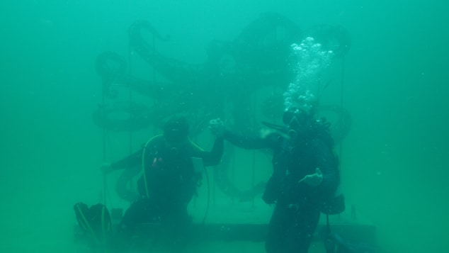 Подводный музей в США_03