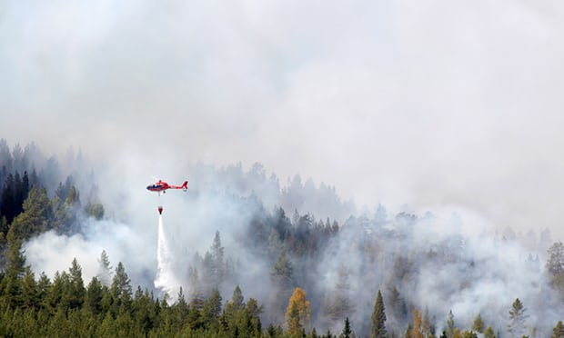 Лесные пожары в Швеции