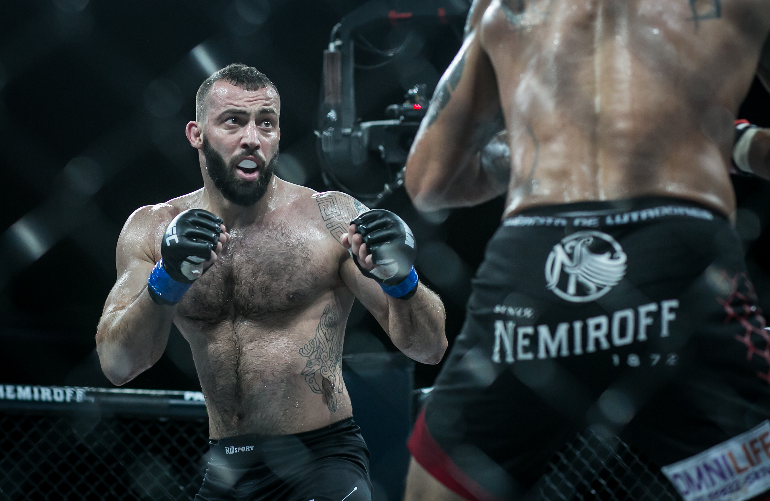 Долидзе бой. UFC Dolidze.