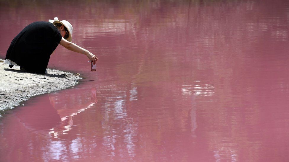  розовое озеро_мельбурн